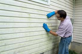 Affordable Siding Repair and Maintenance Services in Crested Butte, CO